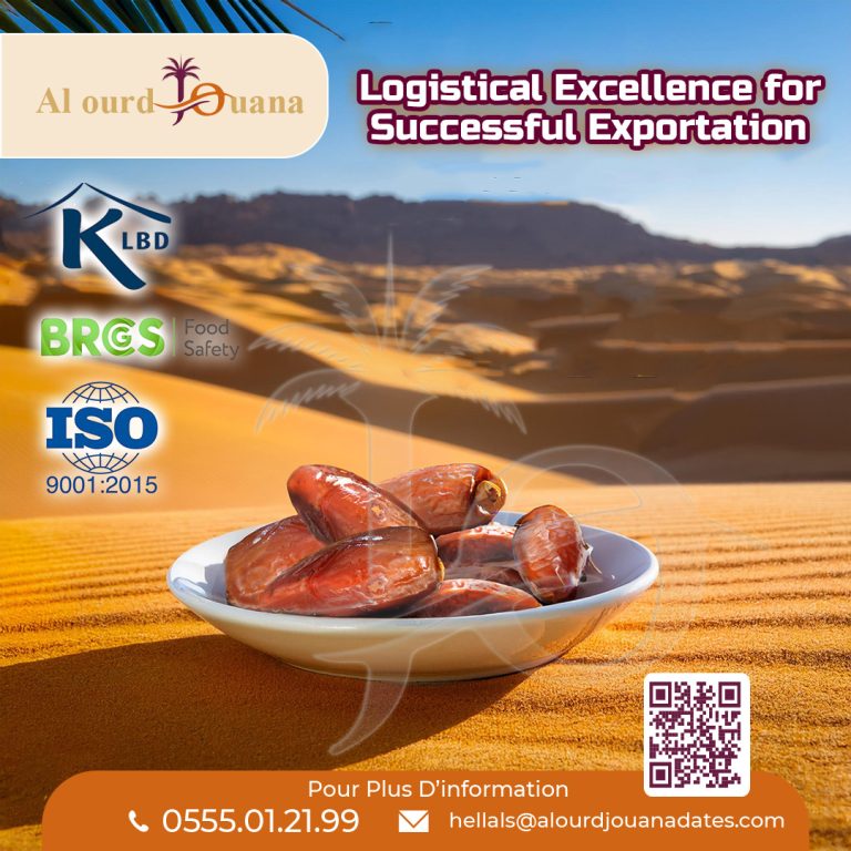 The Importance of Being Skilled in Logistics in Exportation: Creating Wealth and Standing Out in a Competitive Field